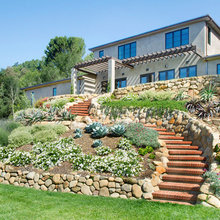 Congo Backyard