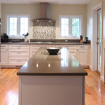 Alexandria, Virginia White Kitchen