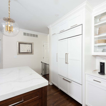 Roscoe Village Kitchen Remodel