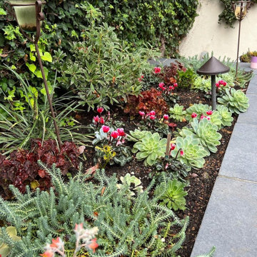 Palo Alto | No Space Too Small to Transform