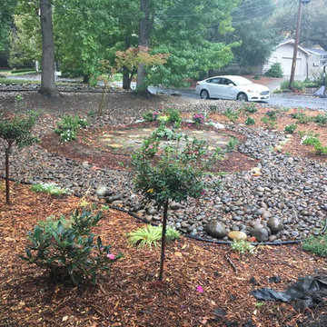 Front Yard Remodel