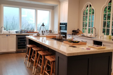 Example of a transitional kitchen design in San Francisco