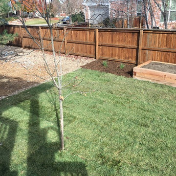 Highlands Ranch Landscape Renovation
