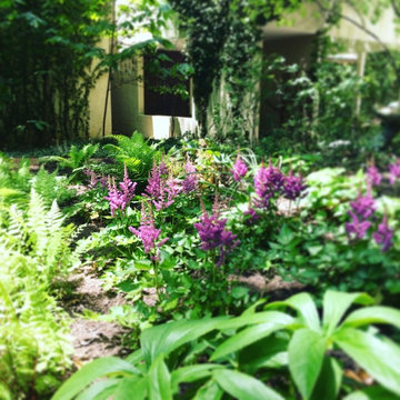 Rain Garden