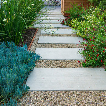 Culver City - Backyard