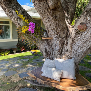 100 Year Old Tree Bench