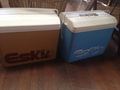 Esky deals chilly bin