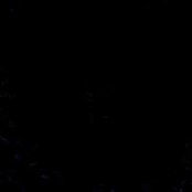 Hannelore Aydin's photo