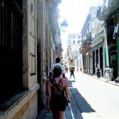 Andrea C's photo