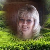 Cindy Cross's photo