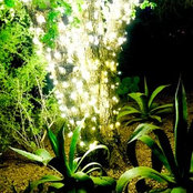 Maribel Bustamante's photo