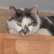 Renée Rhoades's photo