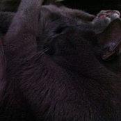 Foto von Jessica Waugh