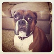 Bill Harris's photo