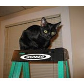 Kathy Korinis's photo