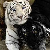 Andrea VE's photo