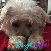 Judy Perdue's photo