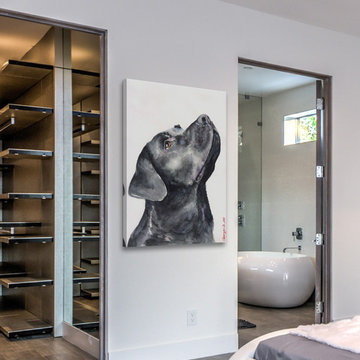 Black Labrador