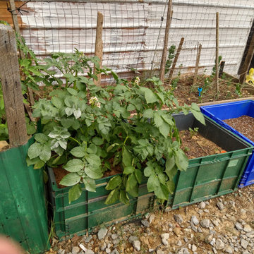 Small raised enclosed garden and patio area