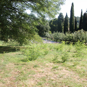 Potager: Lignes nourricières