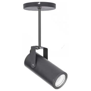 Silo X20 LED Monopoint With 12" Extension 4000K, Black