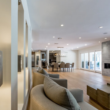 Contemporary home remodeling