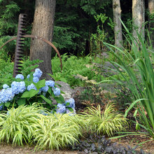 Landscape Ideas