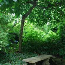 Bathroom Garden