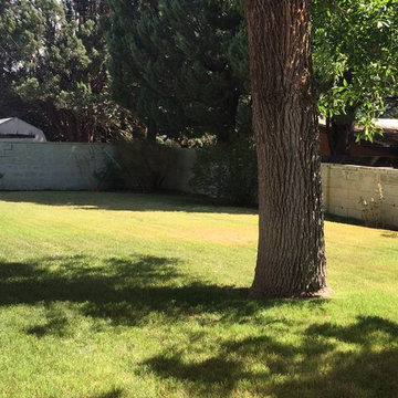 Estate Sale Home Staging 1008 Jefferson Street NE, ABQ, NM