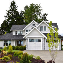 Roof Color Shingles