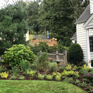 Front yard pollinator garden