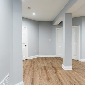 Basement Remodel