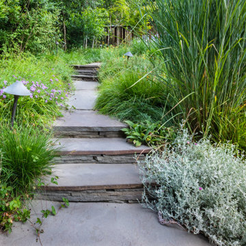 Grassy Meadow Oasis - Reduces Waste While Increasing Habitat