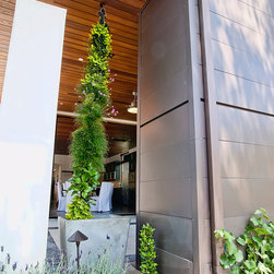 Vision House - Outdoor Pots And Planters