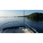 Daniel Buraglia's photo