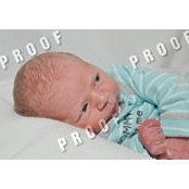 Lori Olsen's photo