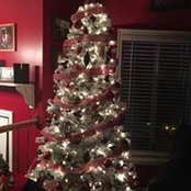 Sonia Murdock's photo