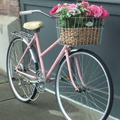 Kristin Braskamp's photo