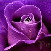Barta Rezba's photo