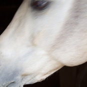 Lauri Godfrey's photo