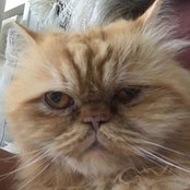 Louise Johns's photo