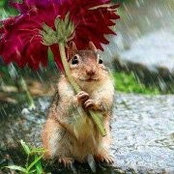 Christine Bertsch's photo