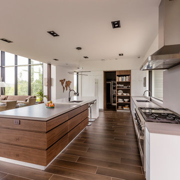 Fitzhenry Residence