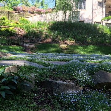 Front & Backyard Design and Installation.