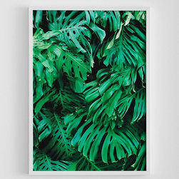 Mr Fancy Plants Monstera Print - Prints And Posters