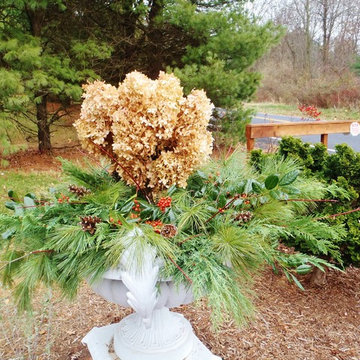 Seasonal Planter Arrangements