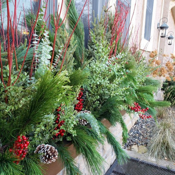 Winter / Holiday Container Gardens