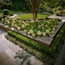 Hardscape
