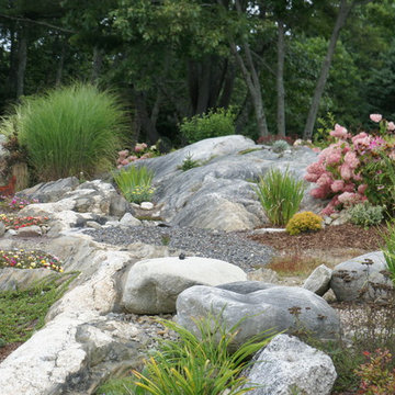 Xeriscape planting among ledge