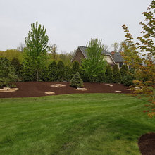 Landscape Ideas